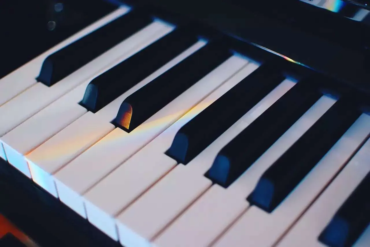 Close-up of piano keys